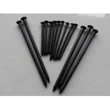 Pure Black Common Iron Nails